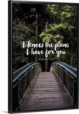 I Know The Plans I Have For You - Scripture
