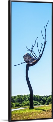 Ideas of Stone - Elm, sculpture at the North Carolina Art Museum