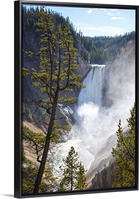 Lower Yellowstone Falls, Yellowstone National Park