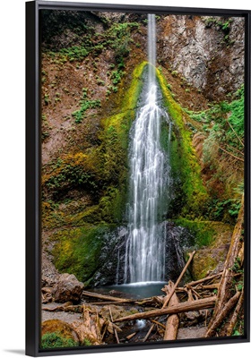 Marymere Falls, Olympic National Park, Washington