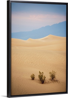Mesquite Flat Sand Dunes, Death Valley National Park, California