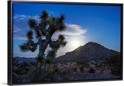 Moon Rises Over Hill, Joshua Tree National Park, California
