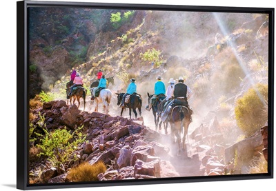 Mule And Horseback Tour In Grand Canyon National Park, Arizona