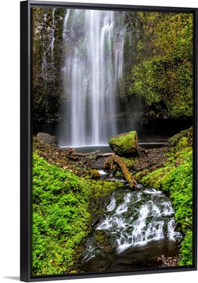 Multnomah Falls, Portland, Oregon