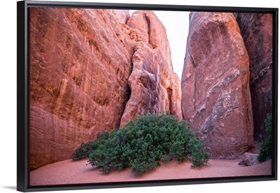 Narrow trail between red sandstone fins, Arches National Park, Utah