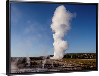 Old Faithful Erupted Geyser And Steam, Yellowstone National Park