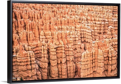 Orange hoodoos in Bryce Canyon Amphitheater, Utah
