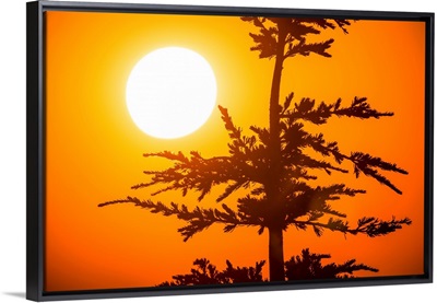 Orange Sunset At Crater Lake, Oregon