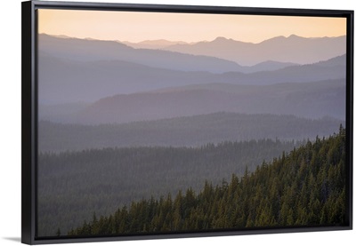 Oregon Wilderness At Crater Lake, Oregon