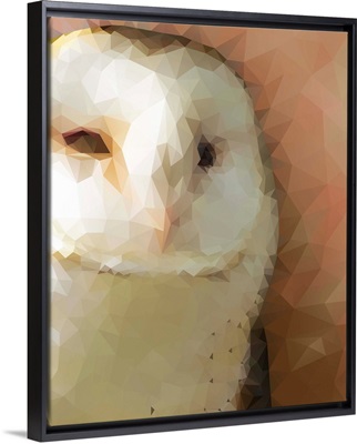 Owl - Low Poly