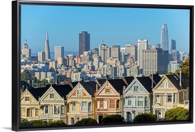 Painted Ladies with the San Francisco Skyline