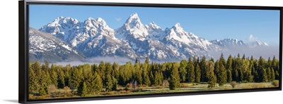 Panoramic Teton Range With Conifers, Grand Teton National Park, Wyoming