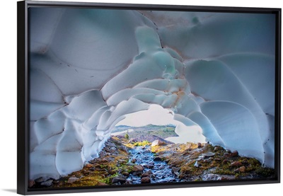 Paradise Glacier, Mount Rainier National Park, Washington