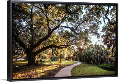 Park Walkway, New Orleans, Louisiana