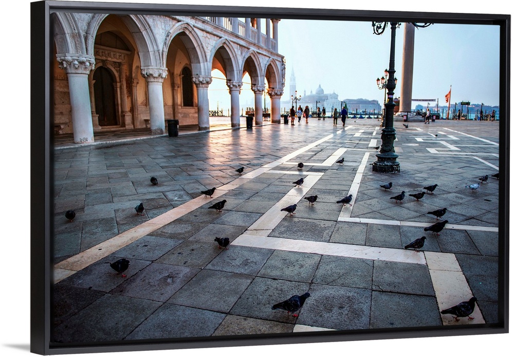 Photograph of the pigeons at St. Mark's square in Venice, Italy.