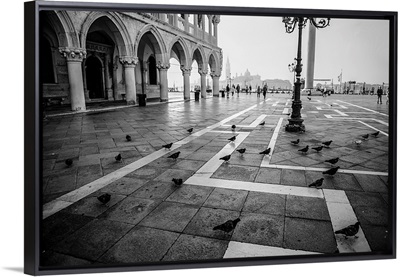 Piazza San Marco (St. Mark's Square) Pigeons, Venice, Italy, Europe
