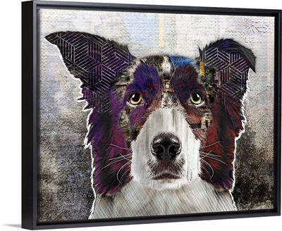 Pop Art - Border Collie