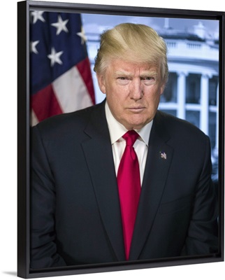 President Donald Trump