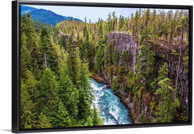 River Foam Of Cheakamus River, British Columbia, Canada
