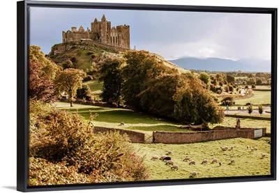 Rock of Cashel with Sheep Landscape, Cashel, County Tipperary, Ireland