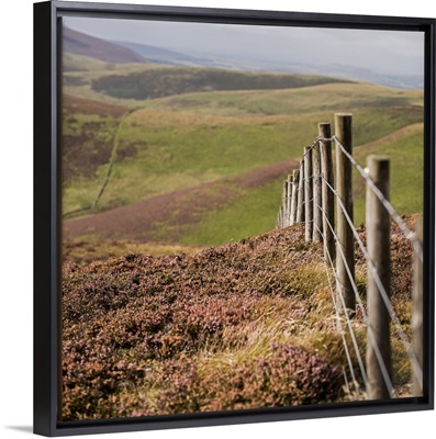 Rolling Hills in Edinburgh, Scotland