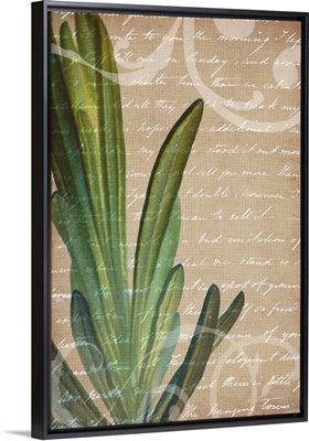 Rosemary in the Countryside