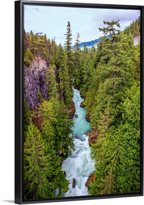 Rushing Currents Of Cheakamus River, British Columbia, Canada