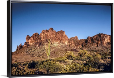 Saguaro Cactus And Superstition Mountain In Phoenix, Arizona
