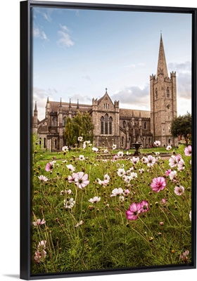 St Patrick's Cathedral and Flowers, Dublin, Ireland