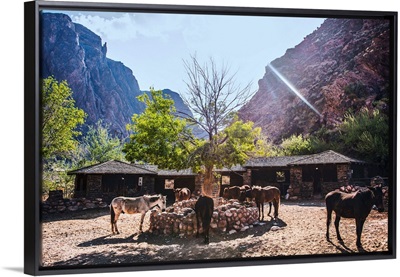 Stable Near Bright Angel Trail In Grand Canyon National Park, Arizona