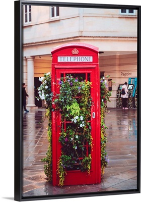 Telephone Booth And Flowers, Bath, England