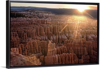 The sun on the horizon shining on the hoodoos in Bryce Canyon Amphitheater, Utah