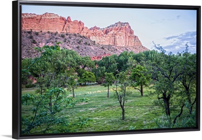 View of Capitol Reef Rock Ridges from Orchards, Capitol Reef National Park