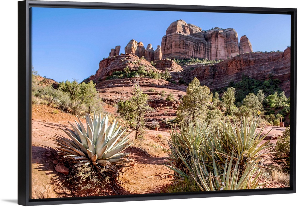 View of Cathedral Rock from Templeton Trail in Sedona, Arizona.
