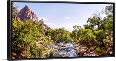 Virgin River, Watchman Peak, Zion National Park, Utah