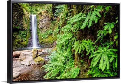 Wiesendanger Falls, Portland, Oregon