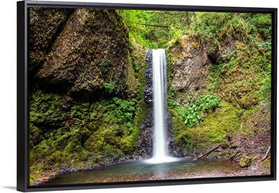 Wiesendanger Falls, Portland, Oregon