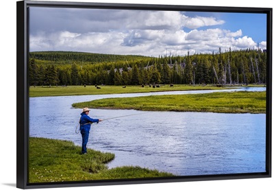 Yellowstone Fishing