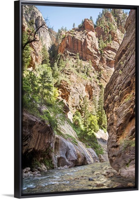 Zion National Park - Virgin River