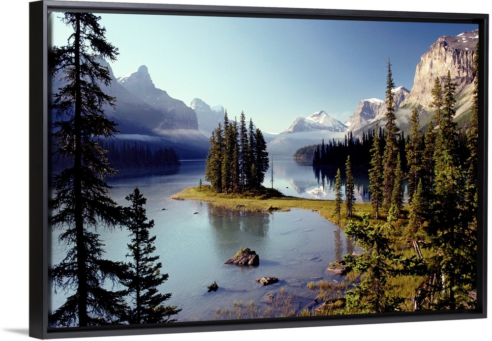 Large wall print of a forest of evergreens meeting and jutting out into a clear lake surrounded by rugged mountains.