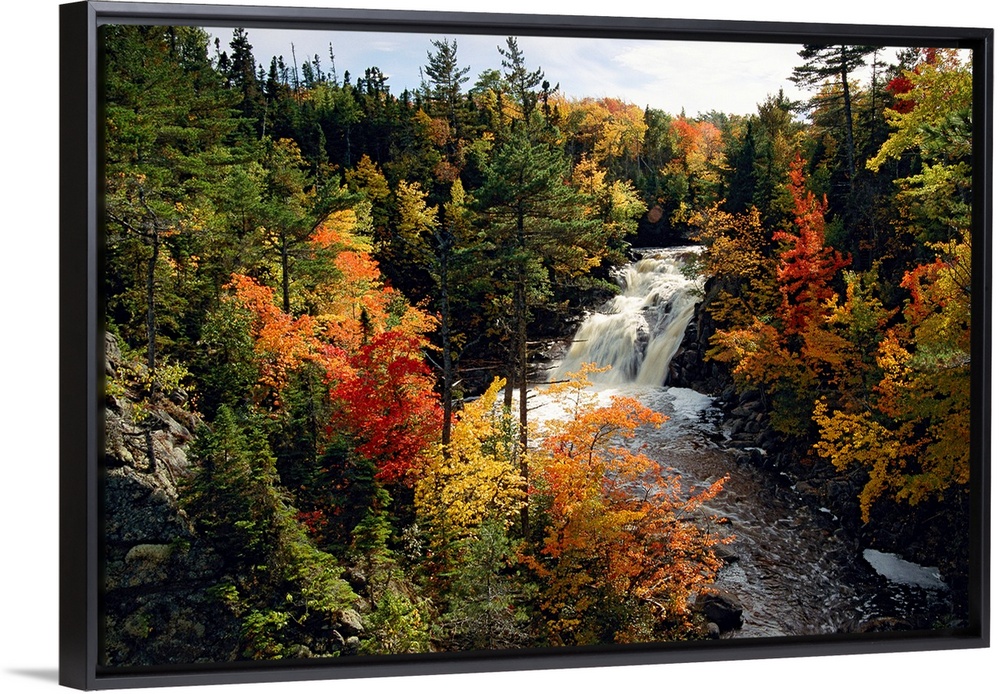 From the National Geographic Collection, a giant photograph shows a roaring waterfall making its way through a thick fores...