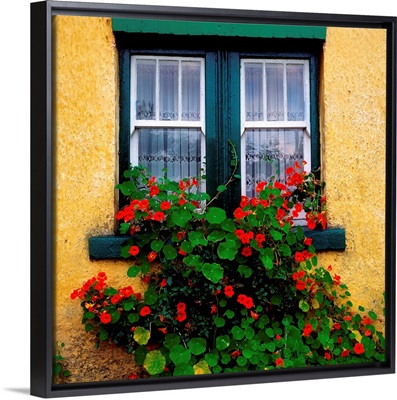 Cottage Window, County Antrim, Ireland