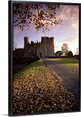Road Leading To Kilkea Castle At Sundown, County Kildare, Ireland