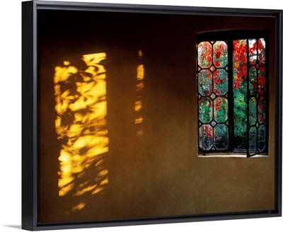 Window With Creeper, Butterstream, Co Meath, Ireland