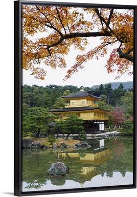 Autumn colour leaves, Golden Temple, Kinkaku ji (Kinkakuji), Kyoto, Japan