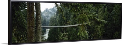 Capilano Suspension Bridge, Vancouver, British Columbia, Canada, North America