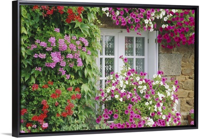 Farmhouse window surrounded by flowers, lIle-et-Vilaine, Brittany, France