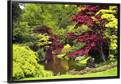 Gardens of Villa Melzi, Bellagio, Lake Como, Lombardy, Italian Lakes, Italy