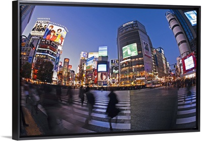 Shibuya Crossing, Tokyo, Honshu, Japan