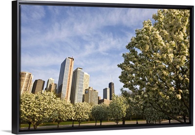 Spring blossoms in Navy Pier Park, Chicago, Illinois